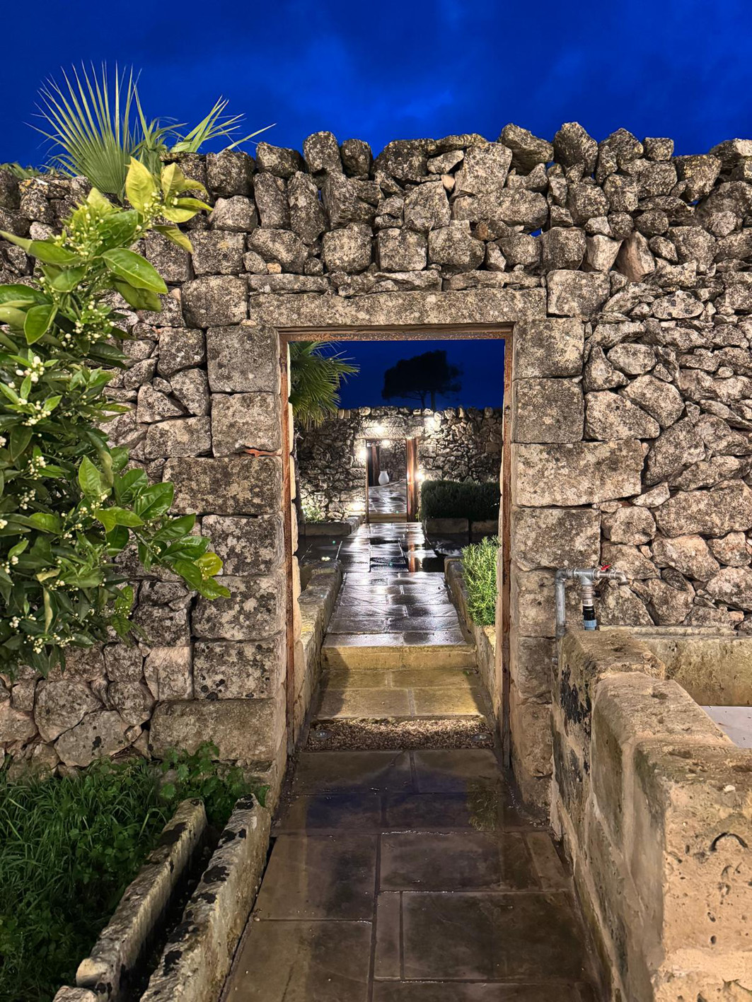 wmasseria-ParalupiMURA.jpg
