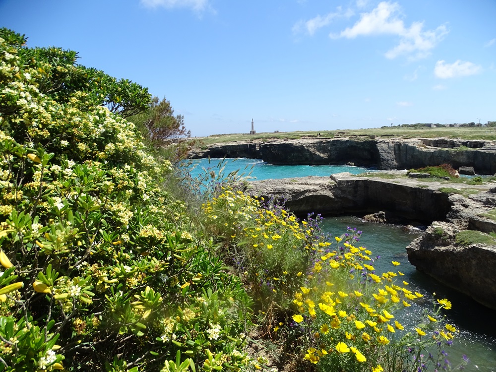 roca-naturaOK.JPG