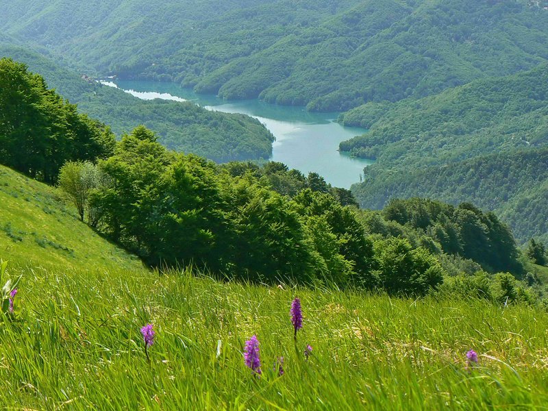 Lago.Brugneto-Foto.A.Macco-800.jpg