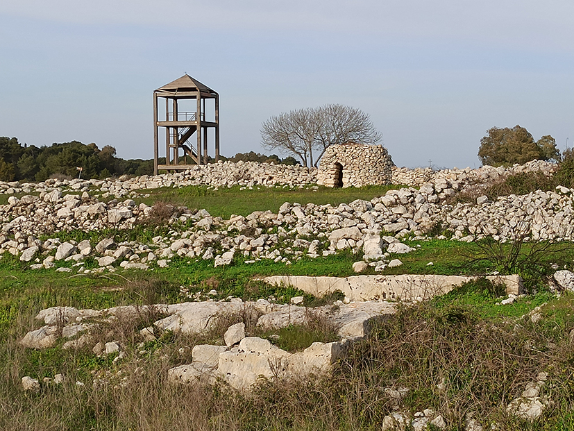 wcavallino-MuseoDiffuso.jpg