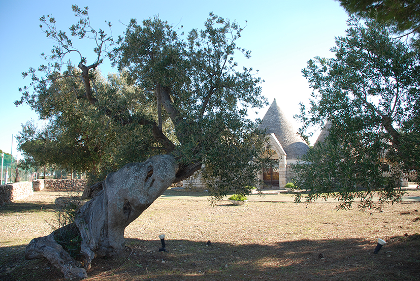 1wportogiardino-trulli.jpg