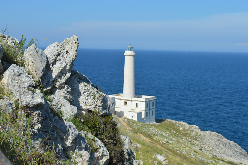 wotranto-faroPOETICA.jpg