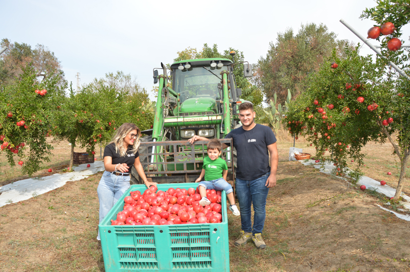 wagrinsalento-raccolta-itrecuori.jpg