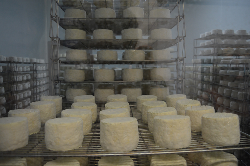 ok-wviaggio-chaource-formaggi.jpg