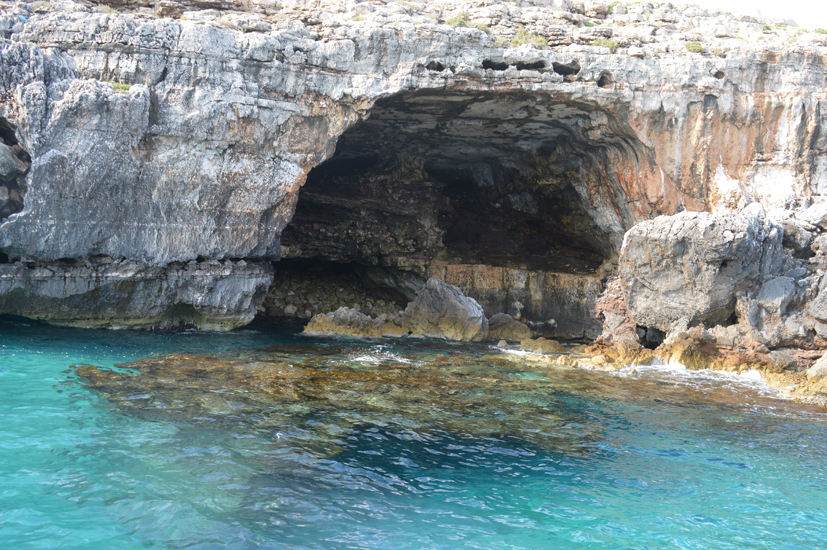 5wnemogrotta treporte