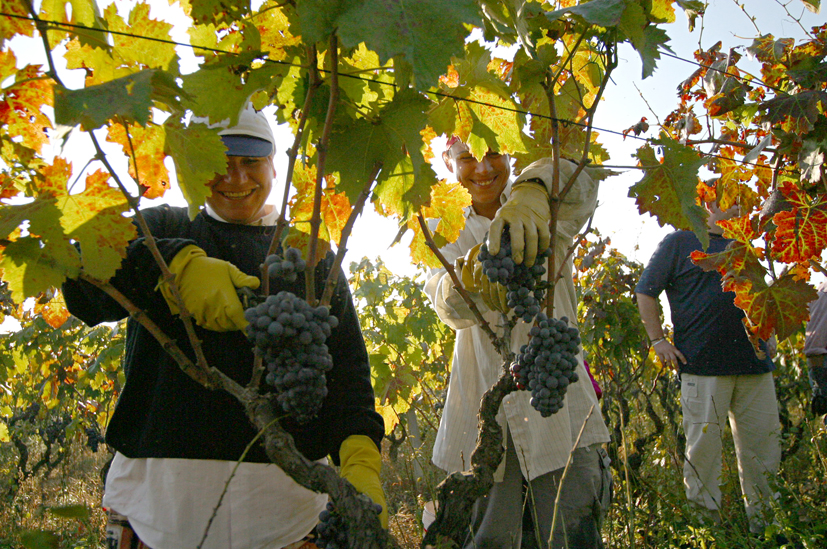 wvwndemmia.jpg