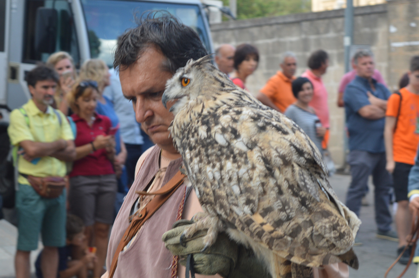 wcorteo-ilfalconiere.jpg