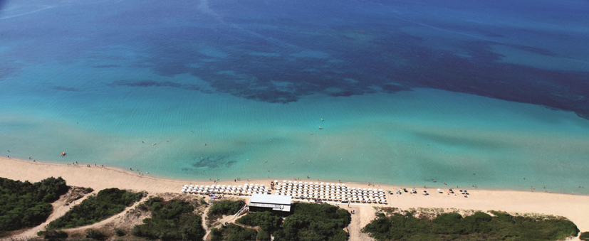 wcdshotels-spiaggia.jpg