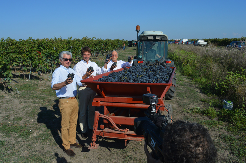 wcontizecca-vendemmia2018.jpg