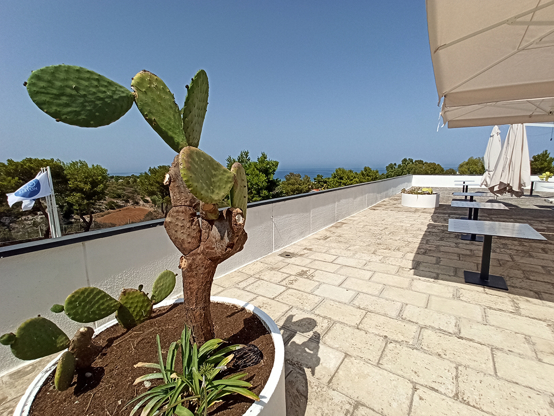 wportoGiardino-terrazzasulmare.jpg