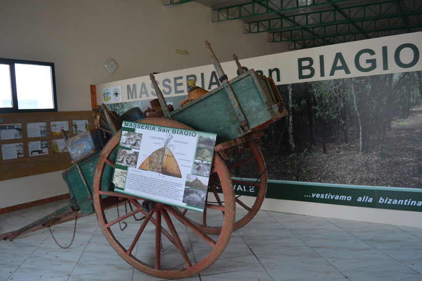 7w masseria