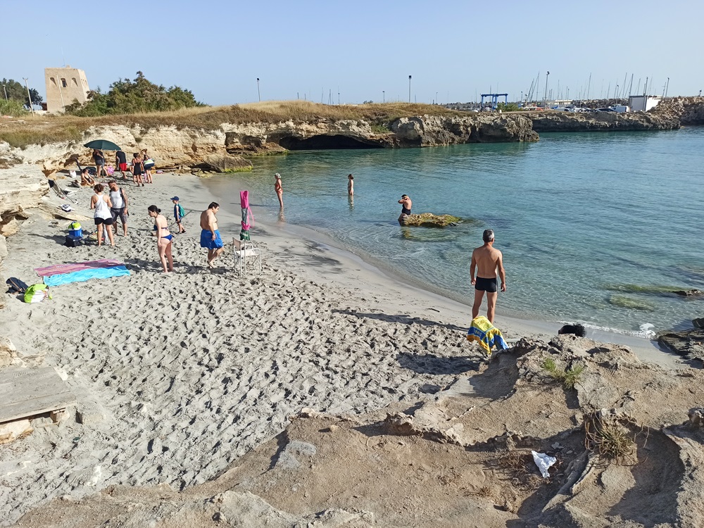 sanFoca-ziaBrizia.jpg