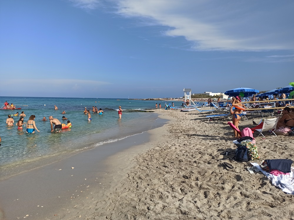 sanFoca.jpg