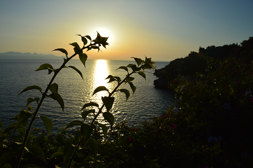1 b wcds terrasini tramontobellissima